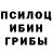 Псилоцибиновые грибы GOLDEN TEACHER Tah Nyo