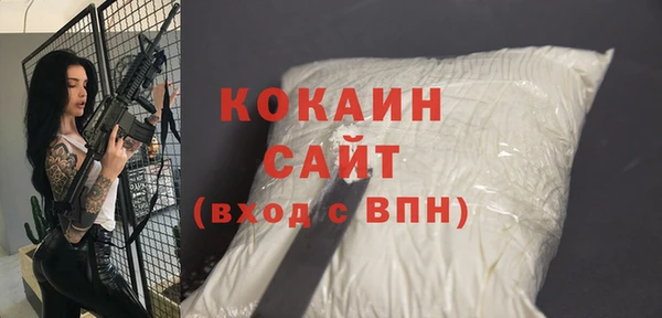 шишки Остров