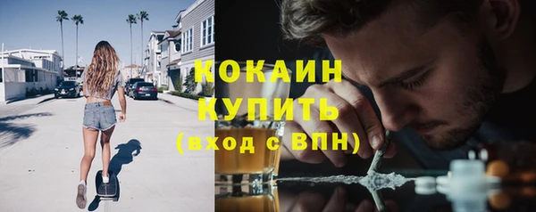 шишки Остров