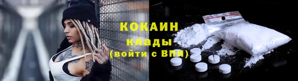 PSILOCYBIN Нязепетровск