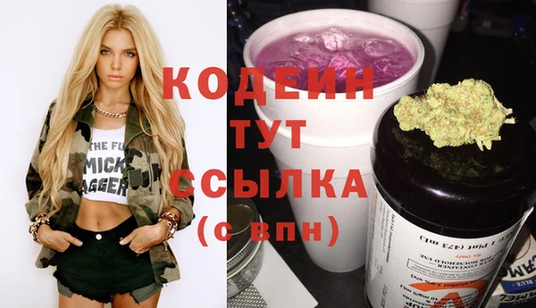 таблы Гусев
